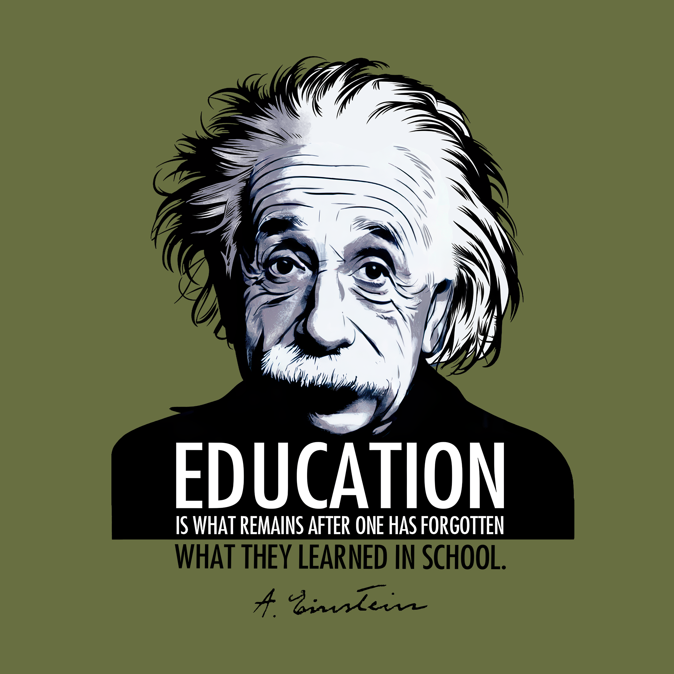 Einstein on Education
