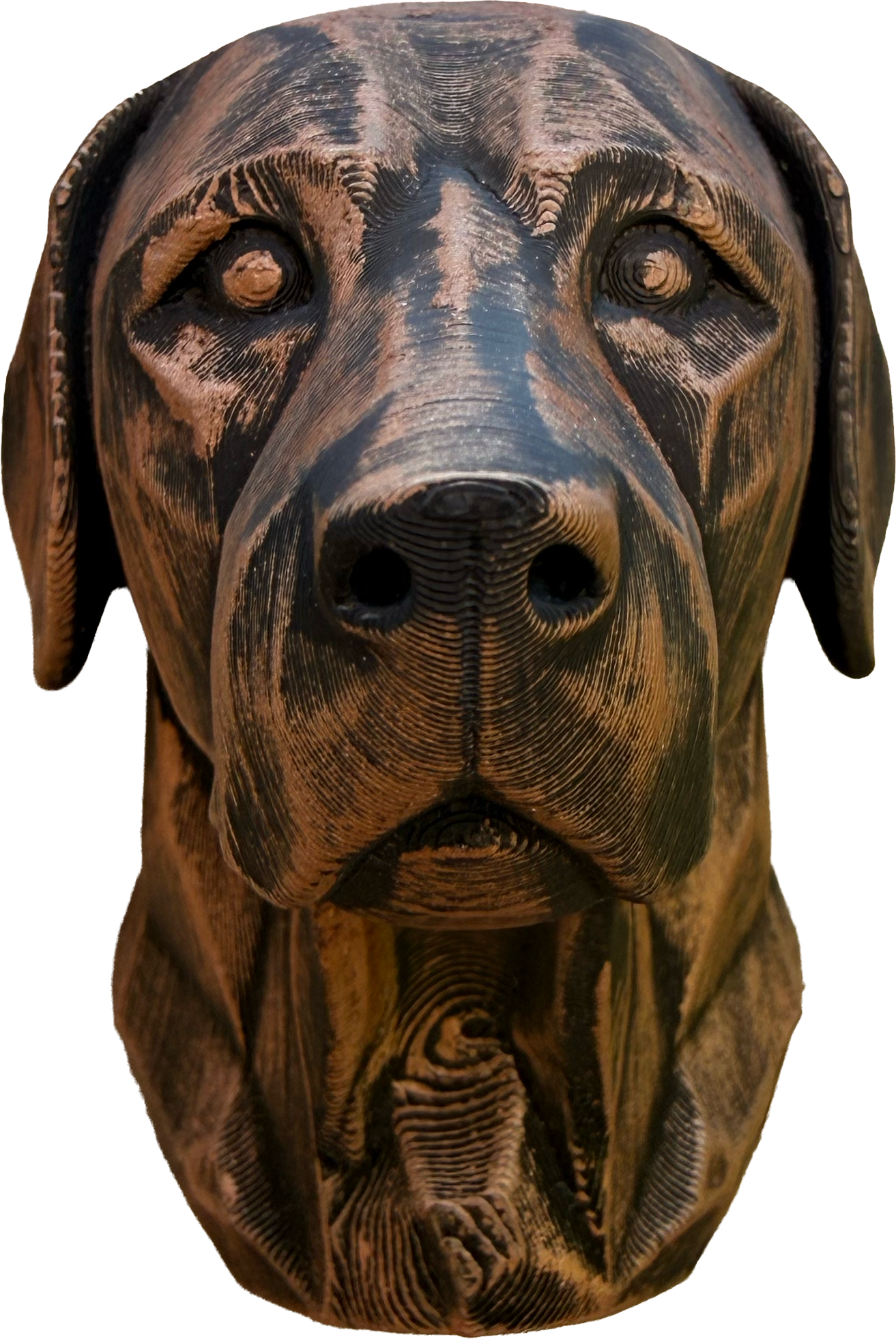Labrador Retriever Magnet – Rural Relics Edition